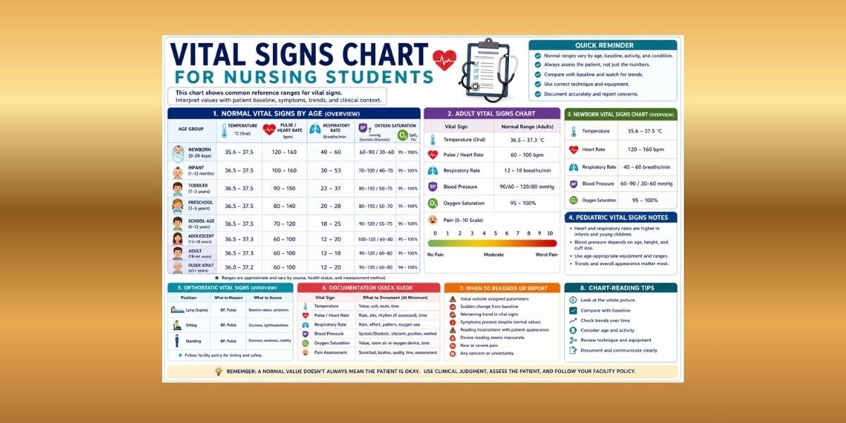 Vital Signs Chart for Nursing Students